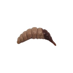 Nástraha FishUp Ozi 1.2, Coffee Milk Earthworm